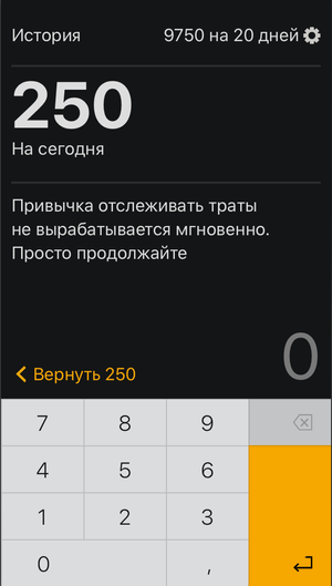 Скриншот экрана с бюджетом на день